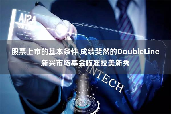 股票上市的基本条件 成绩斐然的DoubleLine新兴市场基金瞄准拉美新秀