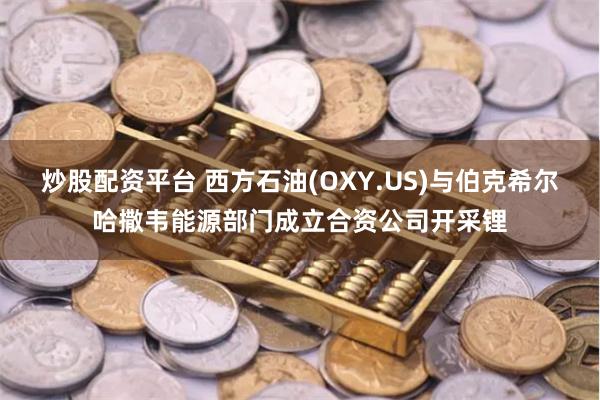 炒股配资平台 西方石油(OXY.US)与伯克希尔哈撒韦能源部门成立合资公司开采锂