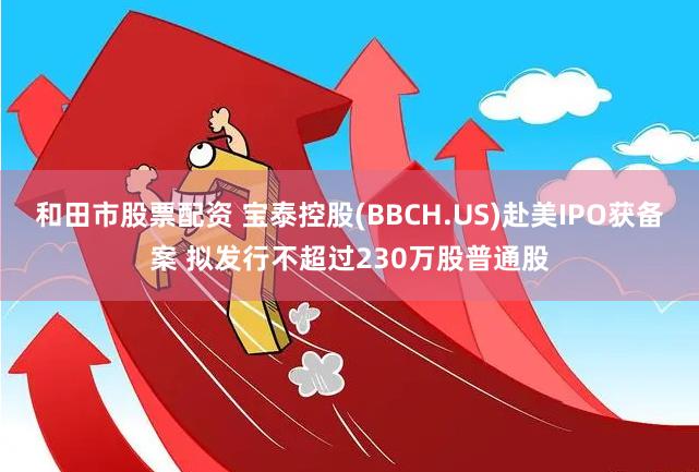 和田市股票配资 宝泰控股(BBCH.US)赴美IPO获备案 拟发行不超过230万股普通股